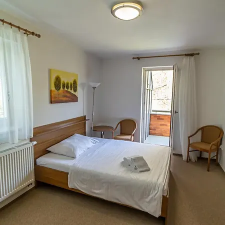 Hotel Samechov - Pokoj 14 Hotel 4*