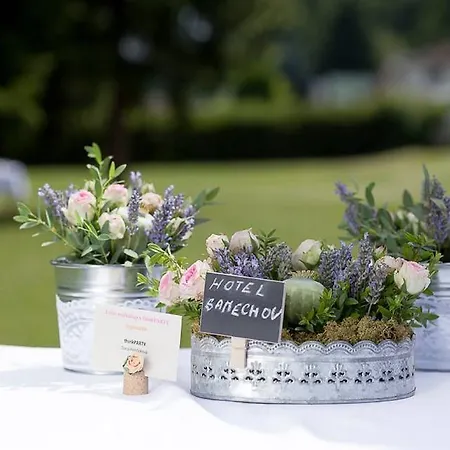 Hotel Samechov - Pokoj 14 Hotel